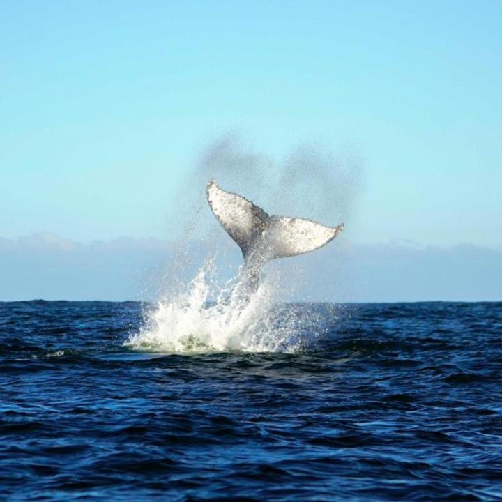 Vertientes De Pumillahue, Chiloe Villa Ngoại thất bức ảnh